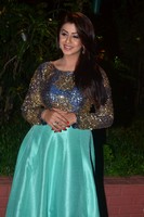Nikki Galrani Photo Gallery